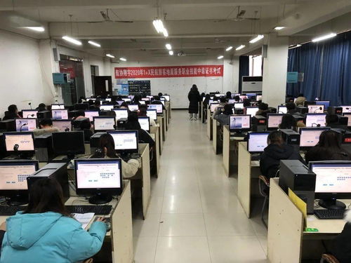 西航职院航管学院成功举办1+X民航旅客地面服务职业技能等级中级证书考试信息技术咨询服务活动